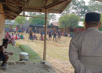 Polsek Wamena Kota Monitoring Pembayaran Denda Adat, Wujud Sinergi Jaga Perdamaian Pasca Konflik di Jayawijaya