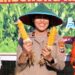 Tanam Jagung dan Panen Bersama Petani, Wujudkan Program Nasional Swasembada Bibit Dan Pangan Di Papua Barat