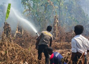 Dua Titik Karhutla Terdeteksi di Momiwaren, Polisi dan Tim Gabungan Lakukan Pemadaman