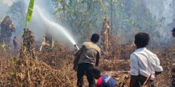 Dua Titik Karhutla Terdeteksi di Momiwaren, Polisi dan Tim Gabungan Lakukan Pemadaman
