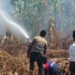 Dua Titik Karhutla Terdeteksi di Momiwaren, Polisi dan Tim Gabungan Lakukan Pemadaman