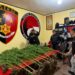 Polres Jayawijaya Ungkap Ladang Ganja di Kampung Pipukmo, Ajak Masyarakat Bersama Lindungi Generasi Muda Papua