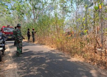 Kendalikan Titik Api Tidak Meluas Ke Fasilitas Umum, Damkar Kodim 1310/Bitung bersama Yonif TP 916/BS dan Pemkab Minut Terus Berjibaku Padamkan Karhutla di Airmadidi Atas