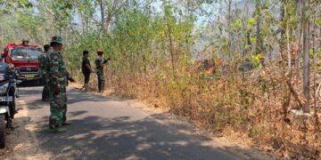 Kendalikan Titik Api Tidak Meluas Ke Fasilitas Umum, Damkar Kodim 1310/Bitung bersama Yonif TP 916/BS dan Pemkab Minut Terus Berjibaku Padamkan Karhutla di Airmadidi Atas