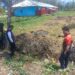 Polsek Wamena Kota Lakukan Penyelidikan Terkait Penganiayaan dan Pengrusakan di Musaima I