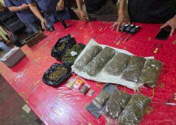Sat Resnarkoba Polres Jayawijaya Amankan 12 Plastik Ganja di Pasar Wouma