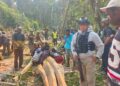 Polsek Asologaima Bersama Sat Reskrim dan Satgas Odc Laksanakan olah TKP Kecelakaan kerja di kampung Araboda