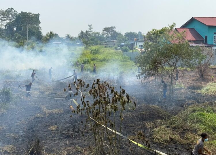 Kebakaran Lahan Kosong di Jalan Bintuni–Manimeri, Tim Karhutla Polres Teluk Bintuni Bergerak Cepat Padamkan Api