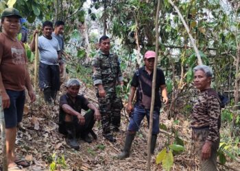 Cegah Api Mendekati Sekolah, Babinsa Koramil 1310-03/Likupang Bersama Warga Gerak Cepat Padamkan Kebakaran Lahan Perkebunan di Kokoleh Satu