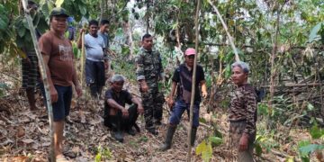 Cegah Api Mendekati Sekolah, Babinsa Koramil 1310-03/Likupang Bersama Warga Gerak Cepat Padamkan Kebakaran Lahan Perkebunan di Kokoleh Satu