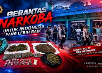 Polres Jayawijaya Amankan Lebih dari 1 Kilogram Ganja dalam Razia di Pasar Wouma