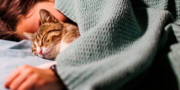 Amankah Tidur Bersama Kucing Kesayangan?