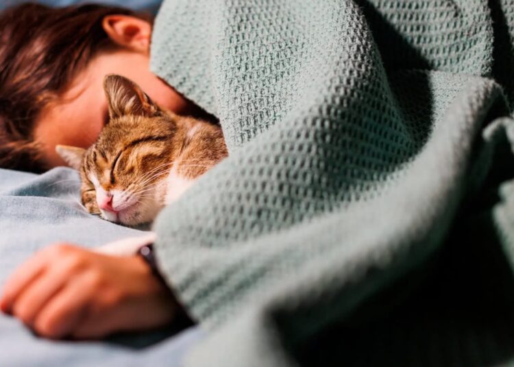 Amankah Tidur Bersama Kucing Kesayangan?