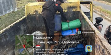 Patroli Samapta Polres Jayawijaya, Amankan Belasan Sajam dan Miras serta Temukan Dugaan Ganja di Wamena