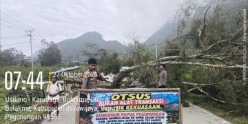 Polsek Bolakme Pantau Pemalangan Jalan Trans Wamena–Tolikara, Arus Kendaraan Belum Mengantre Panjang