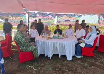 Bentuk Dukungan serta Upaya Perkuat Hanpangan dan Kesejahteraan Petani, Dandim 1310/Bitung Hadiri Panen Raya Jagung Kelompok Tani “Sehati” di Lahan 15 Hektare
